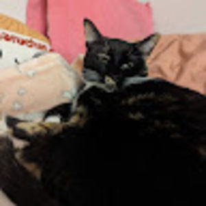 Meet your Posher, Victorian